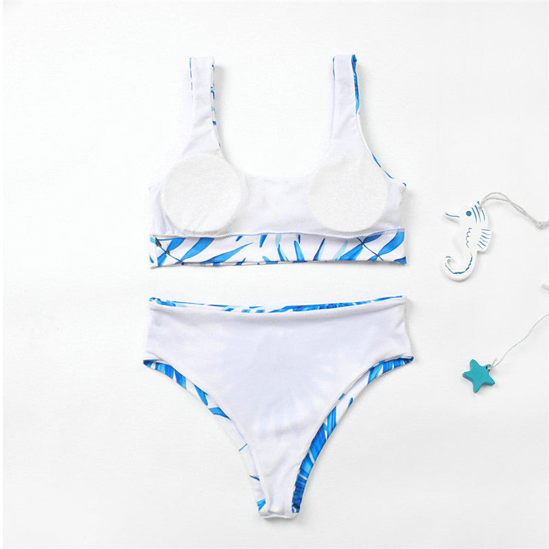 Rose Ocean Swimsuit
