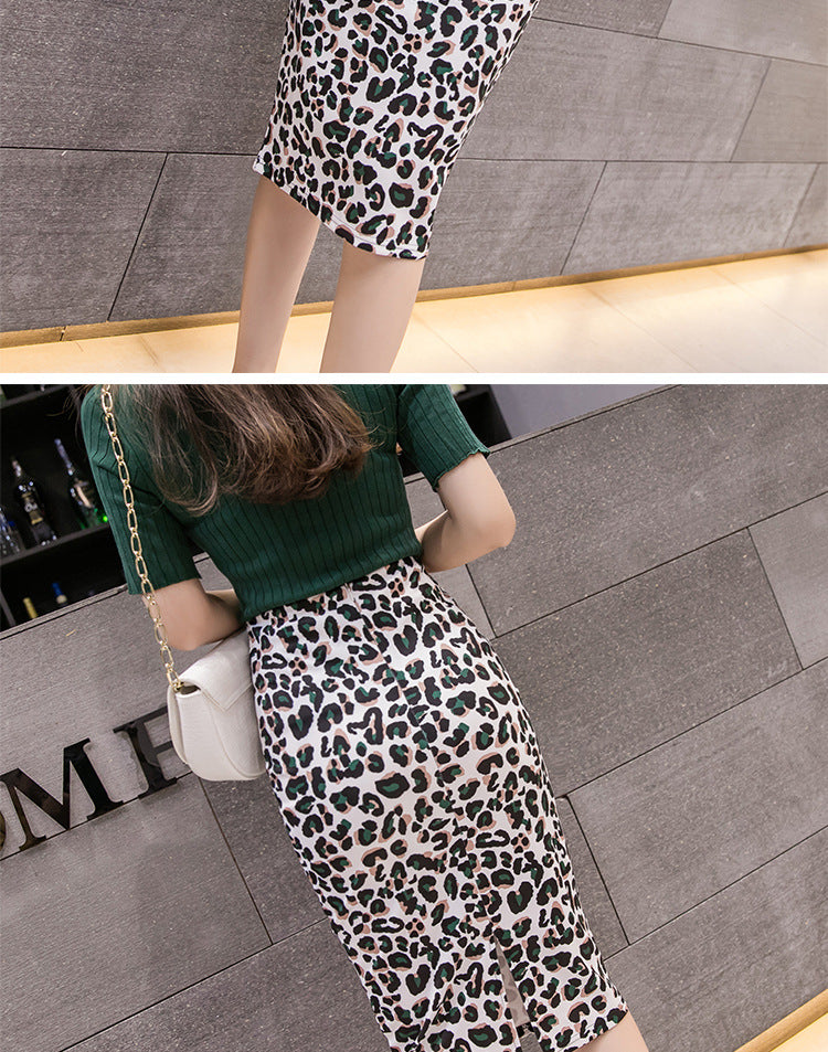 Radiant Style Skirt